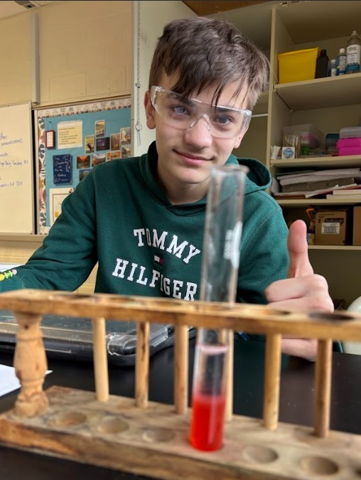 strawberry lab work