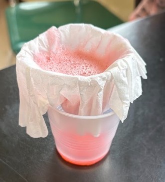 strawberry lab work