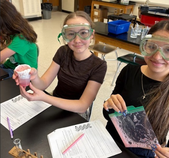 strawberry lab work