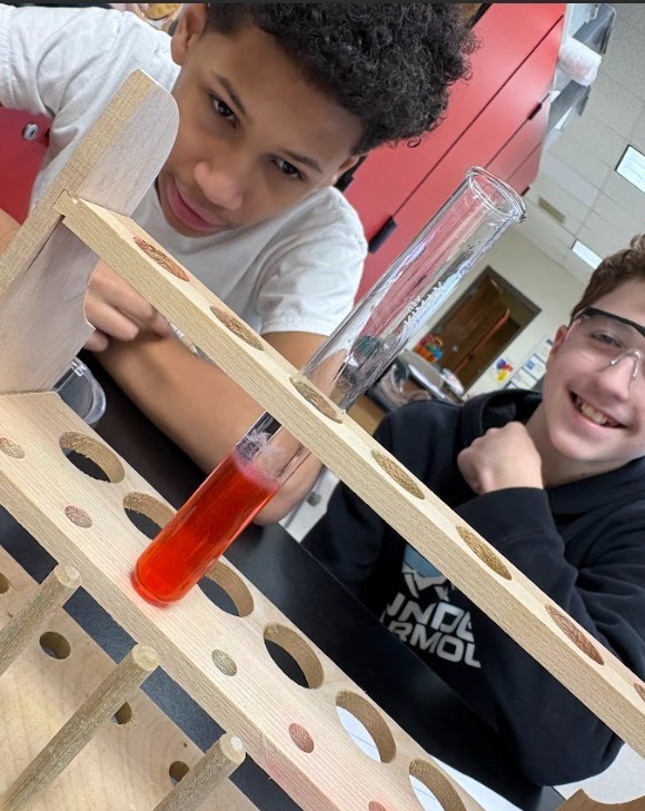 strawberry lab work