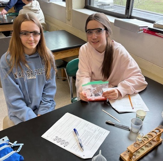 strawberry lab work