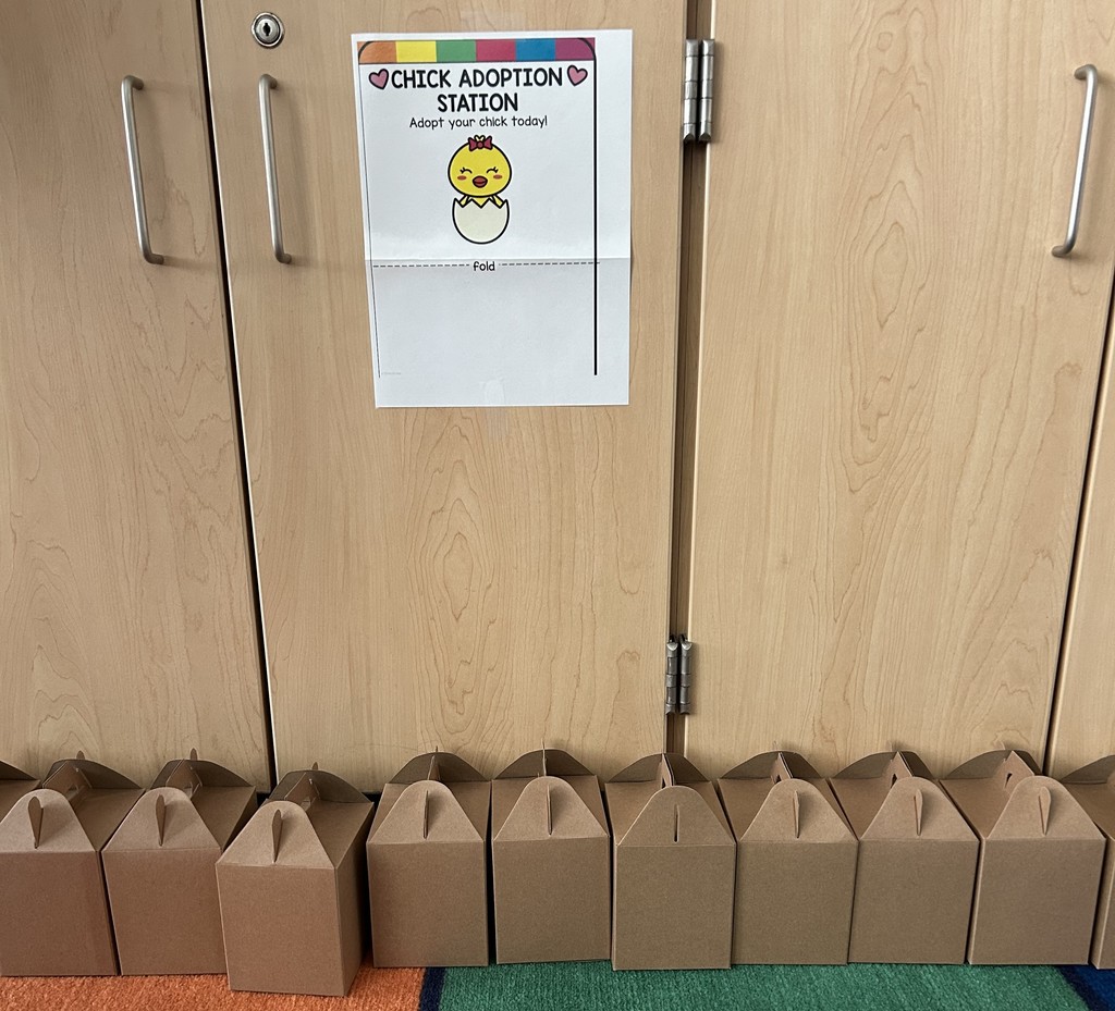 chick boxes
