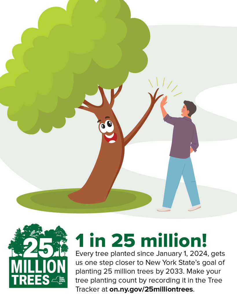 plant a tree artwork