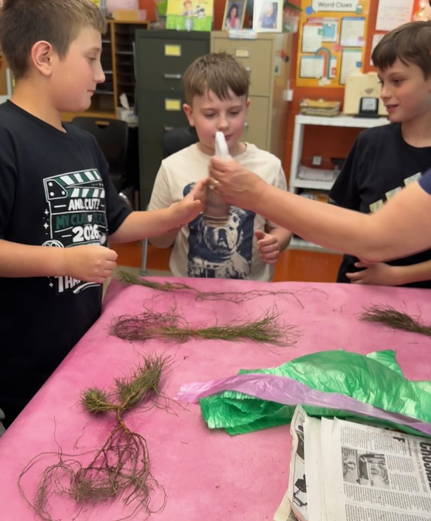 students with baby trees