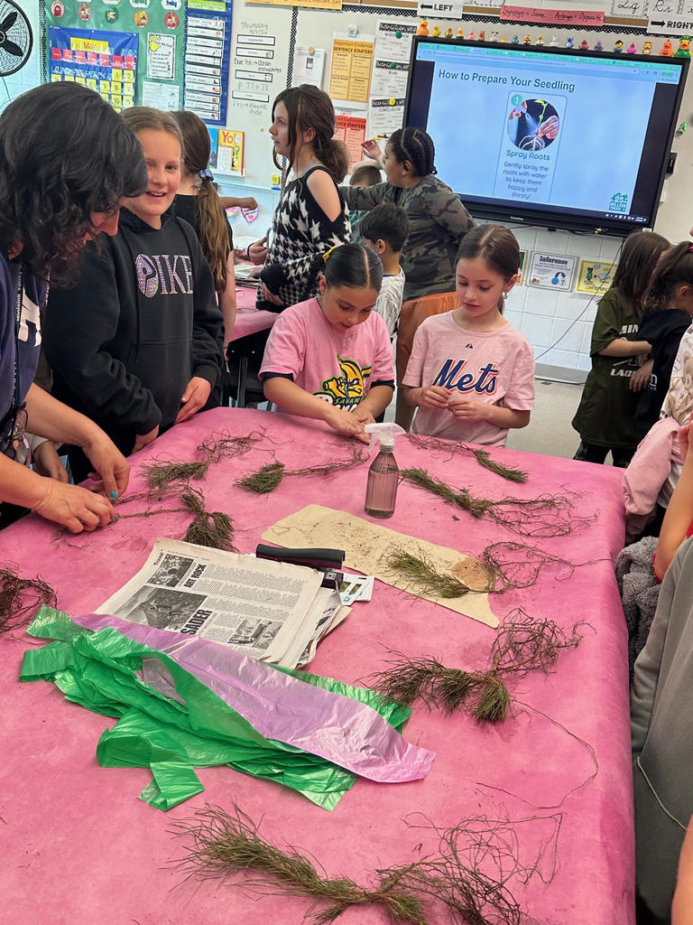 students with baby trees