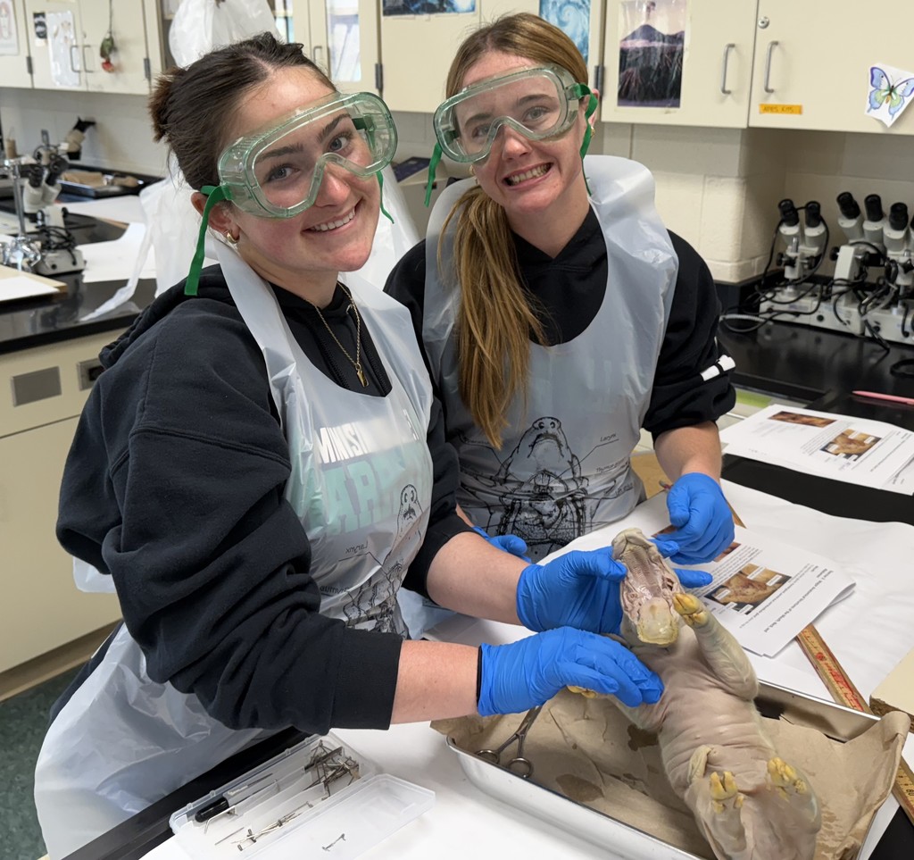 students in science lab
