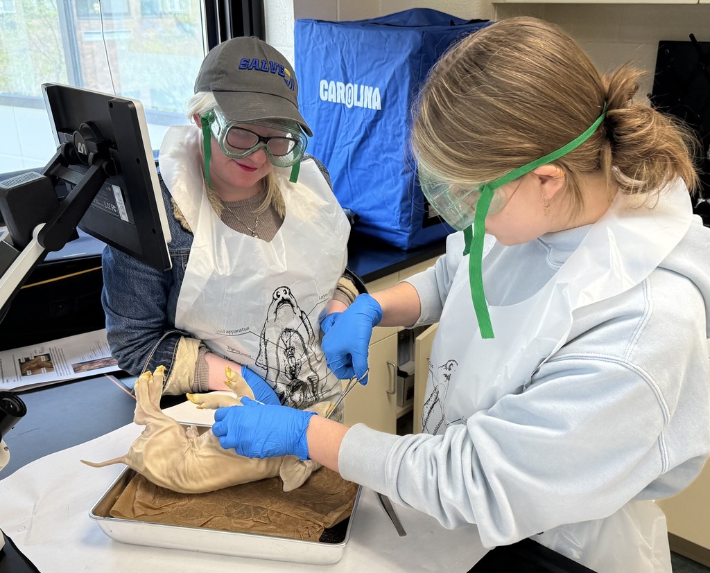 students in science lab