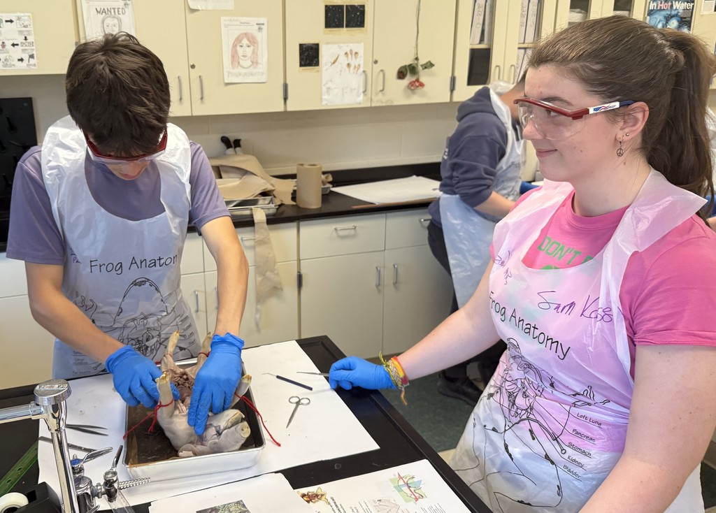 students in science lab