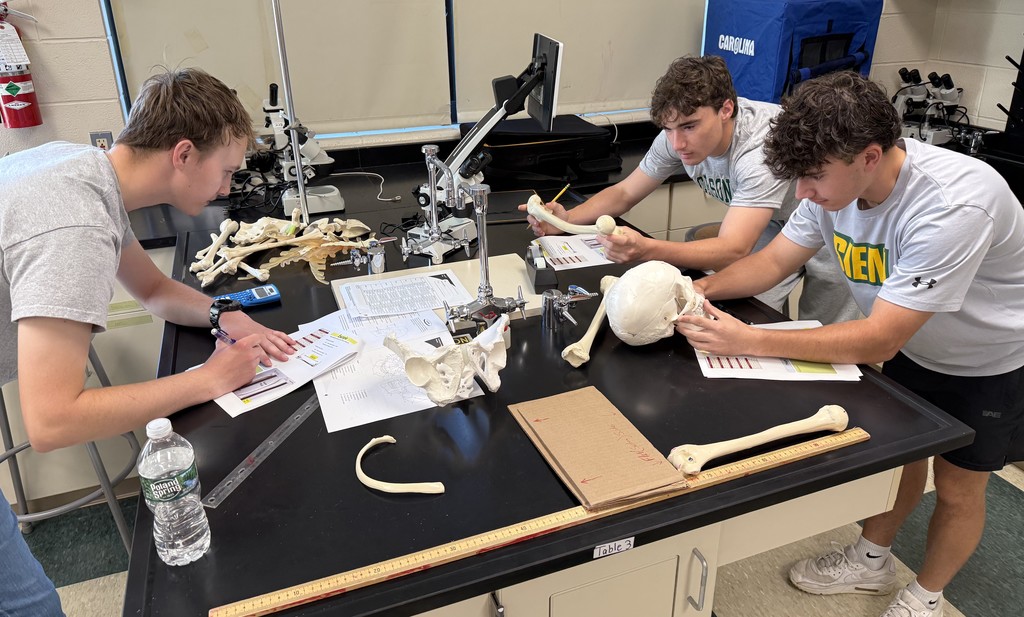 students with bones