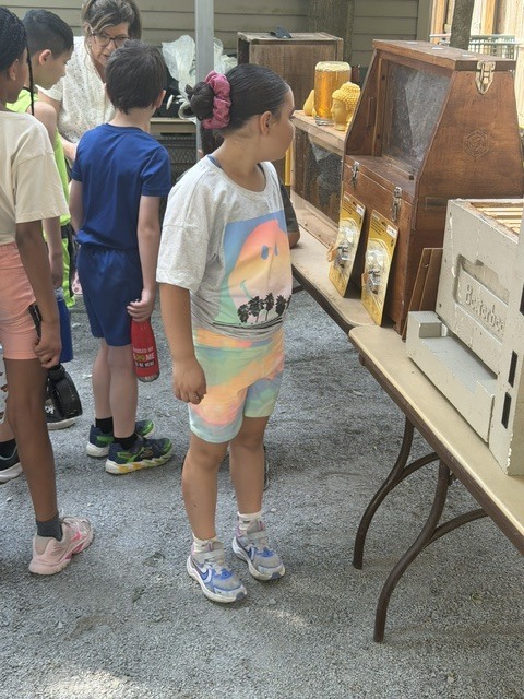 students on field trip