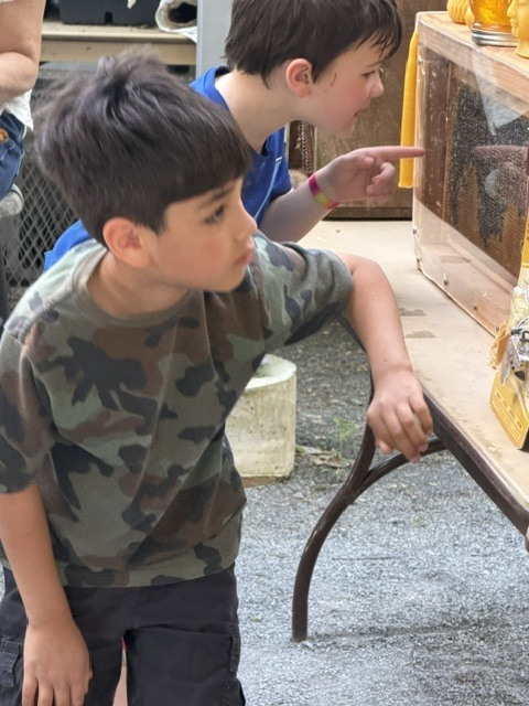 students on field trip