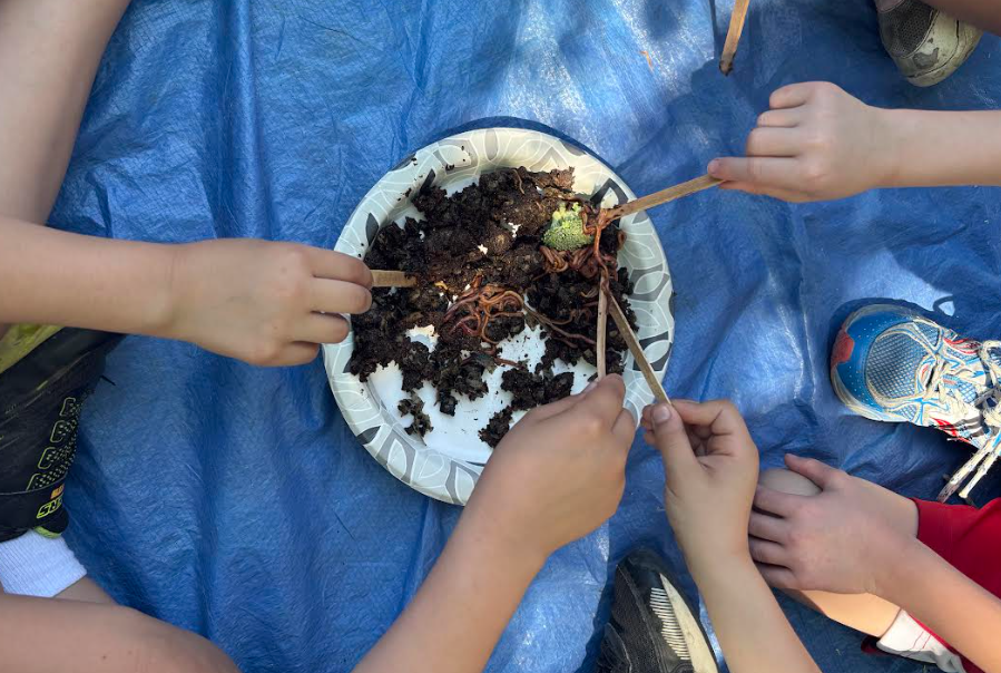 composting plate
