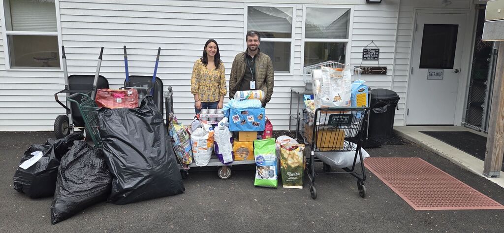 teachers and donations to the animal shelter