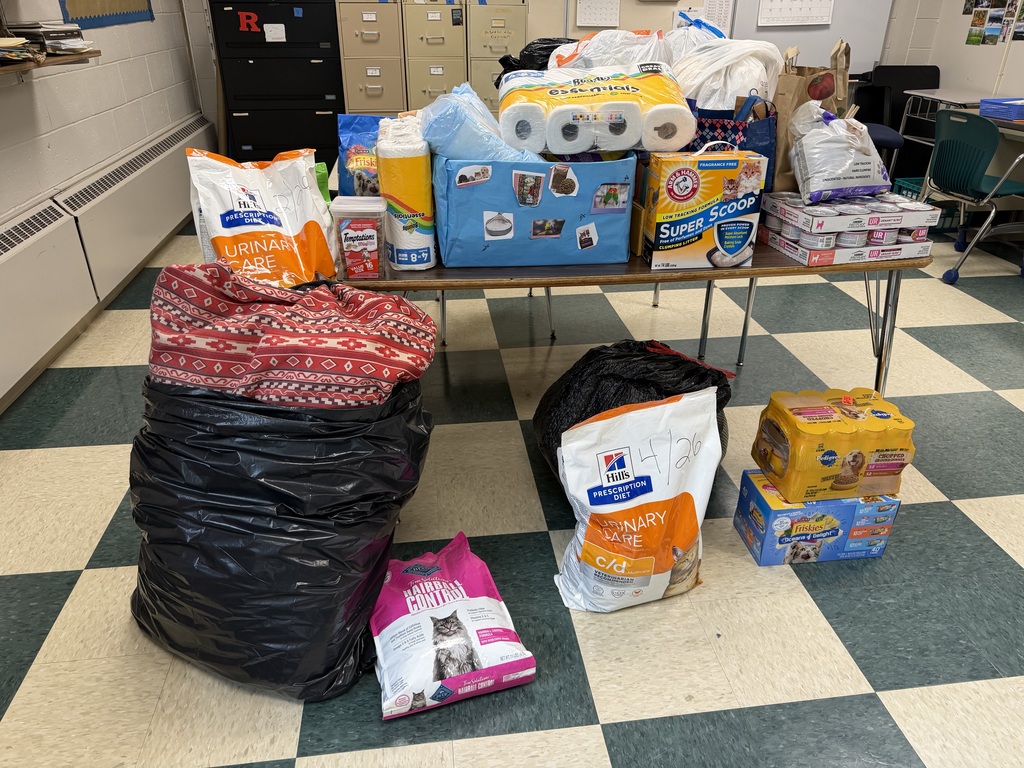 animal shelter donations