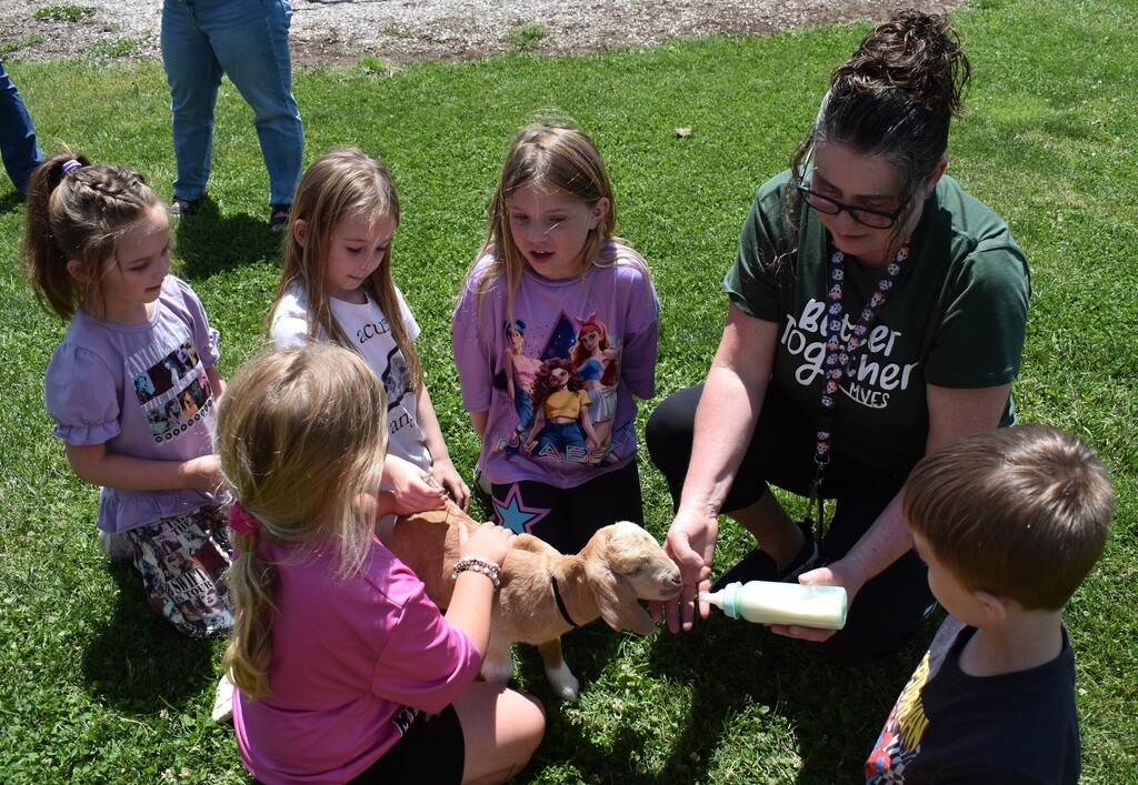 kids feeding goats