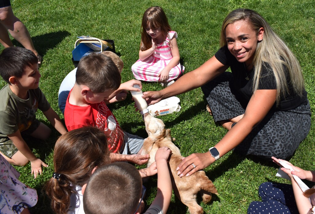 kids feeding goats