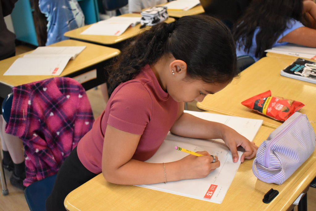 student in math class