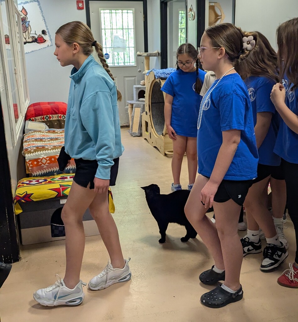 otisville kids at humane society