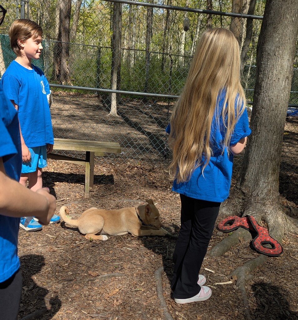 otisville kids at humane society