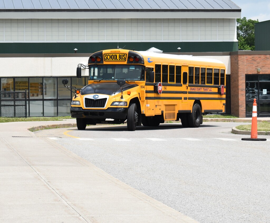 bus