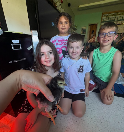 kids with chicks