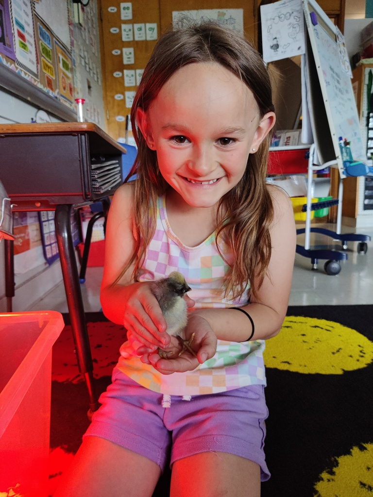kids with chicks