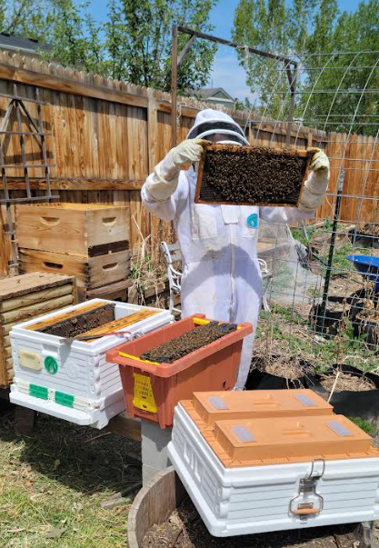 beekeeper