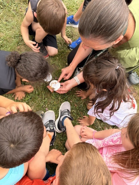 butterfly release