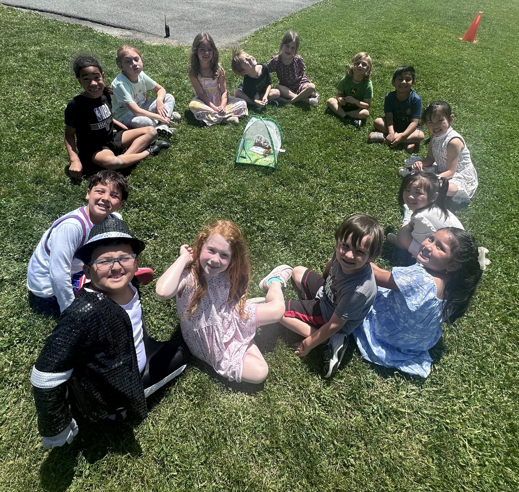 butterfly release