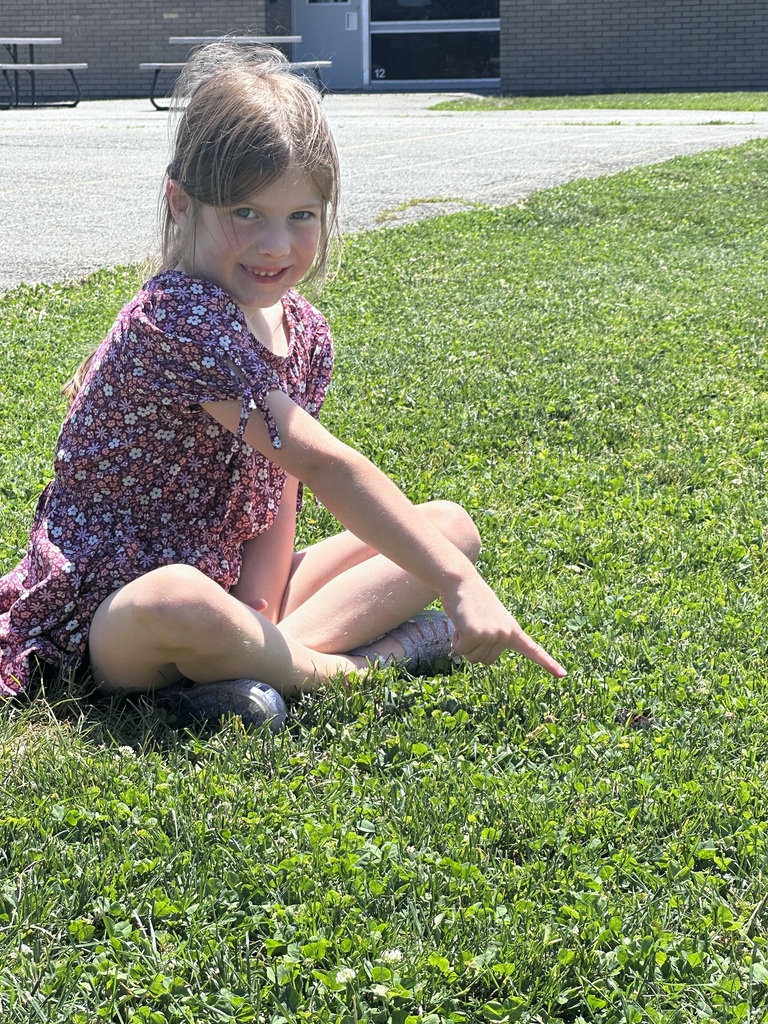 butterfly release