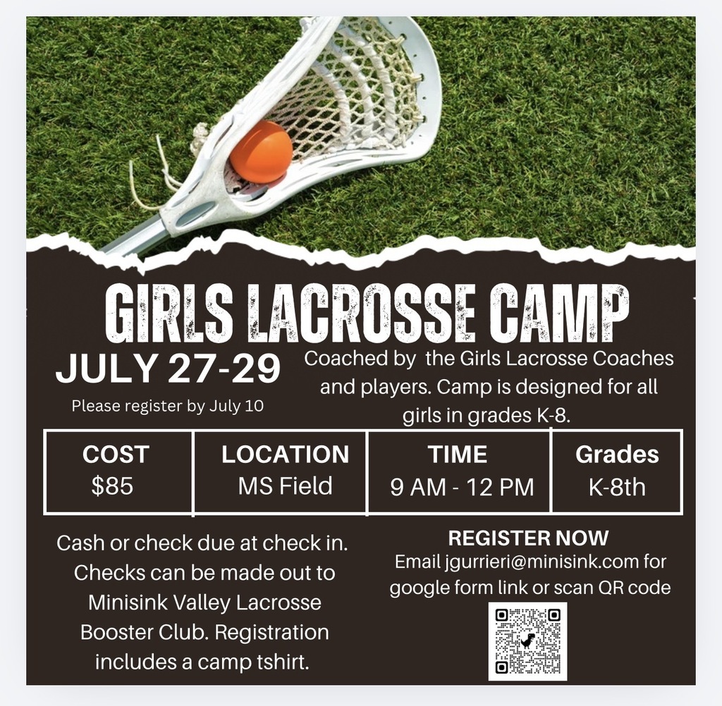 girls lacrosse camp artwork