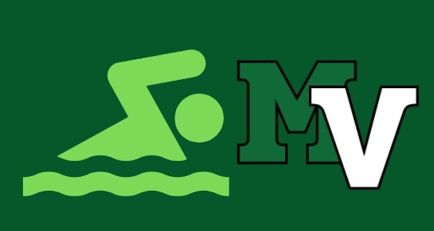 swim and dive camp artwork