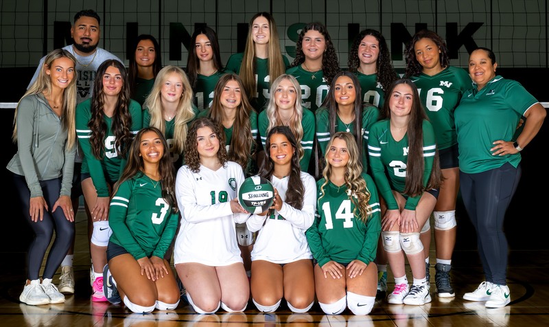 volleyball team
