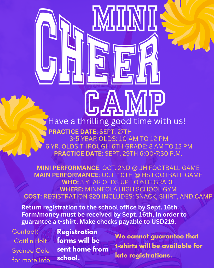 Mini Cheer Camp