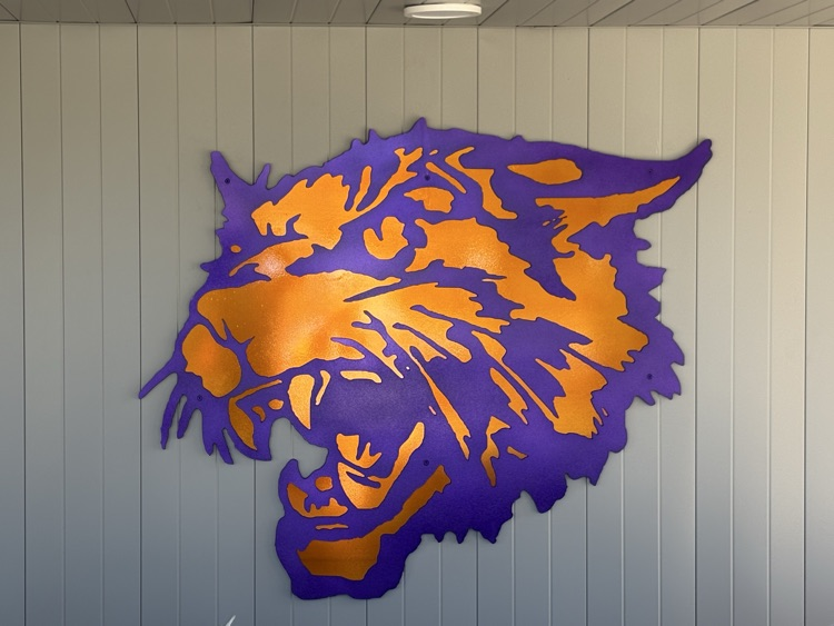 Wildcat