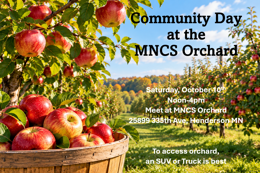 Orchard day