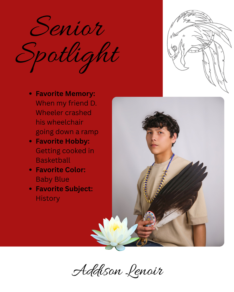 AL Senior spotlight