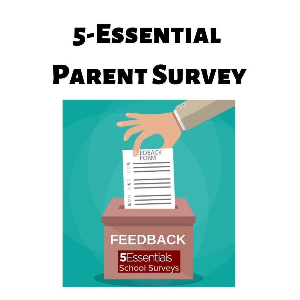 5essentials Survey