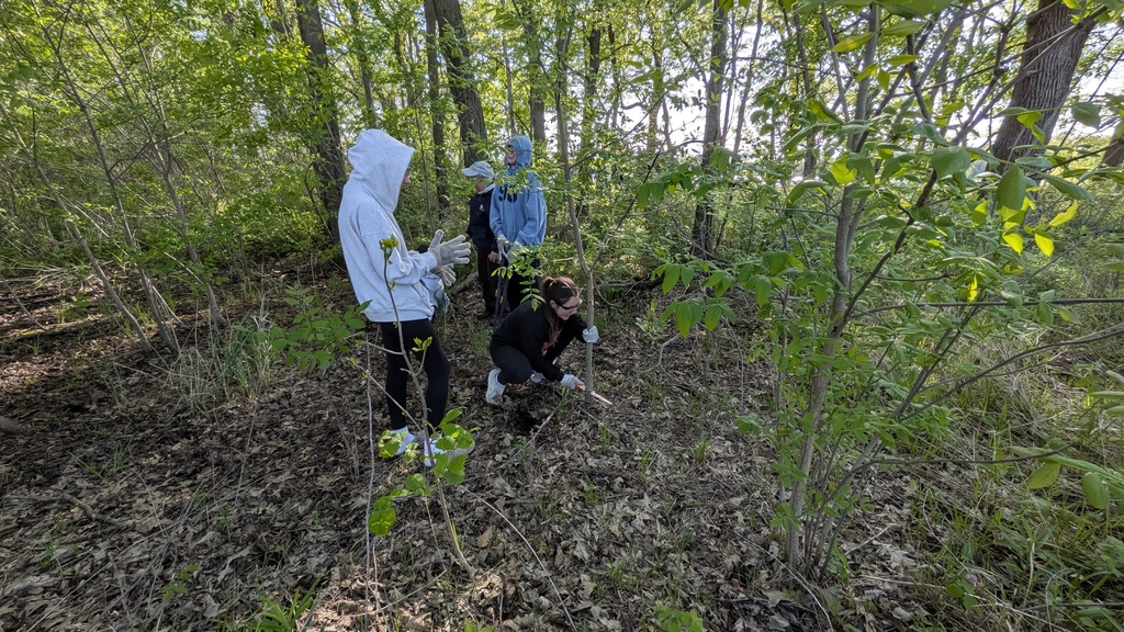 mckinley woods field trip