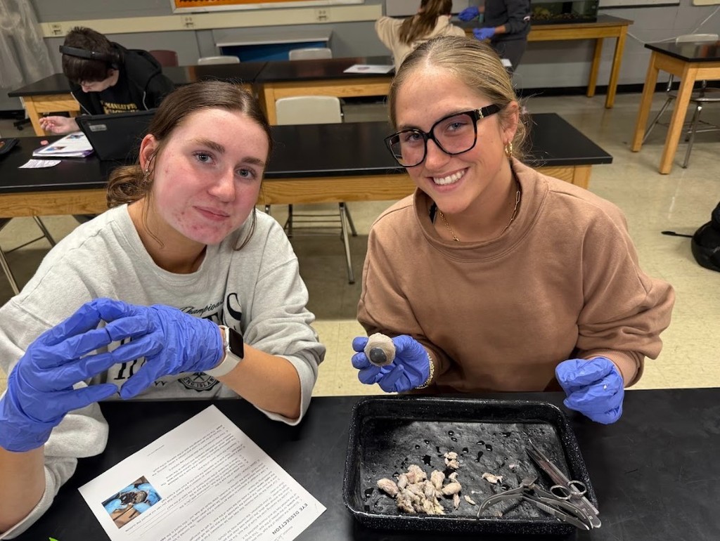 cow eye dissection