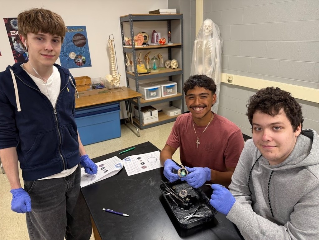 cow eye dissection