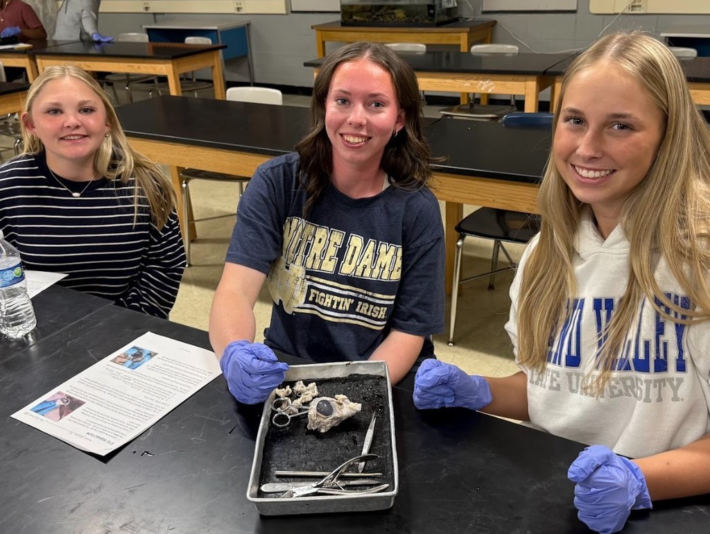 cow eye dissection