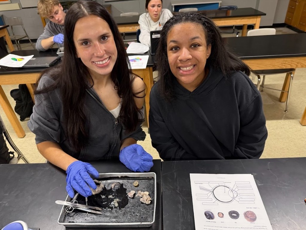 cow eye dissection