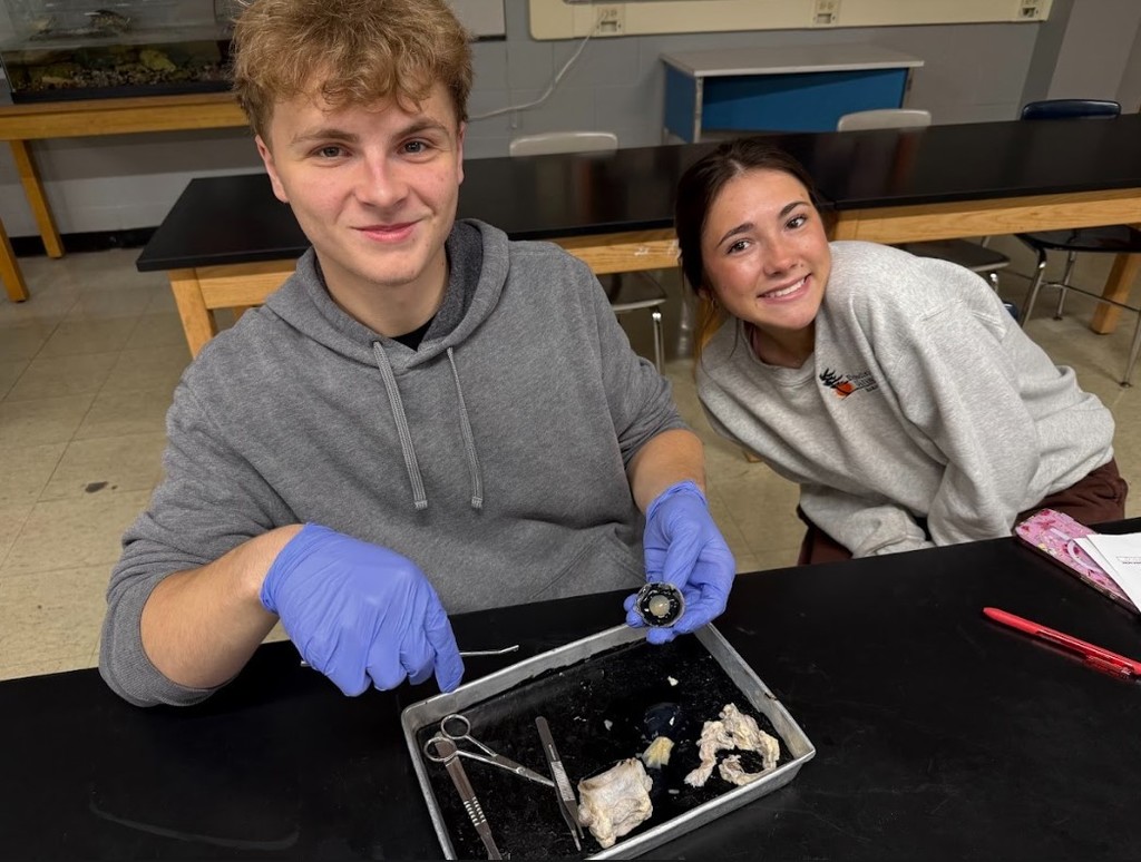 cow eye dissection