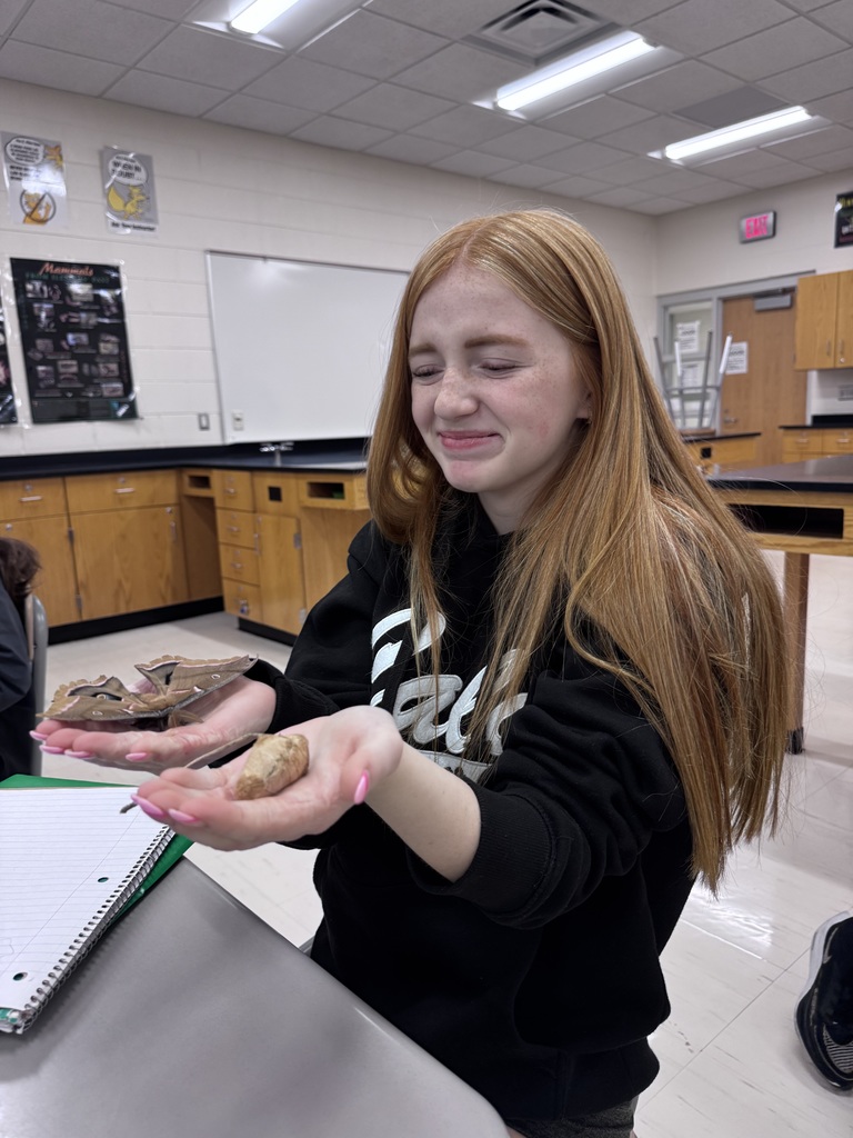 Polyphemus Moth