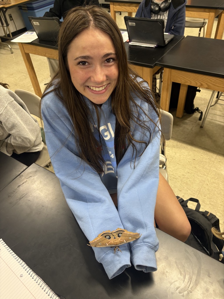 Polyphemus Moth