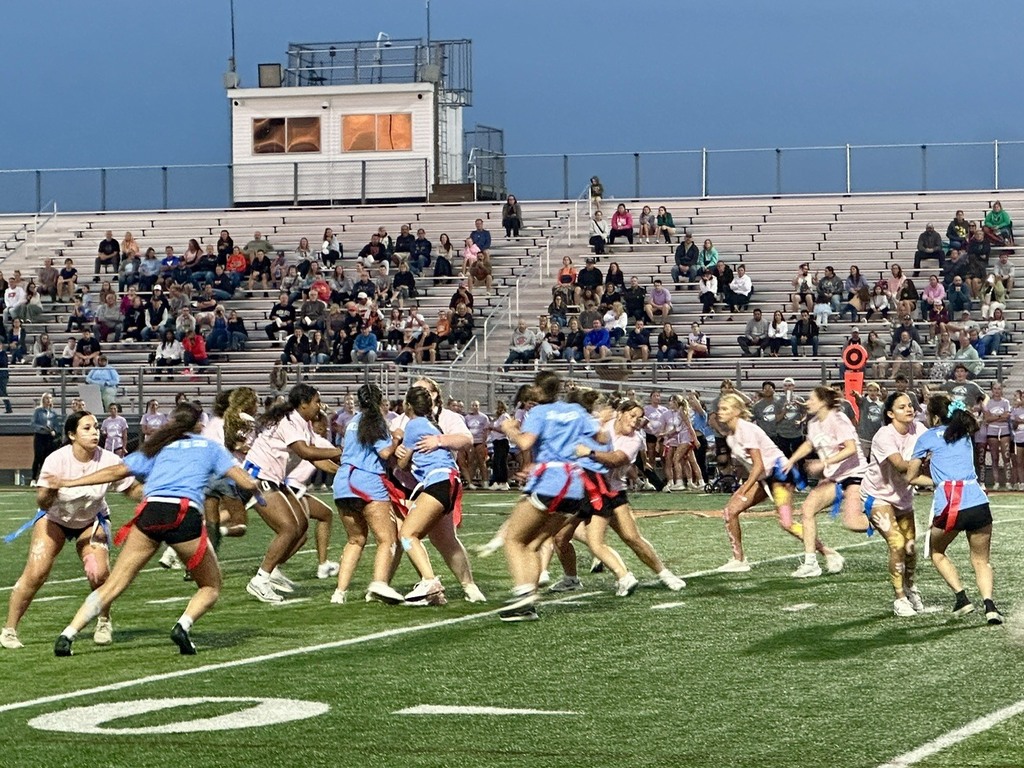 powderpuff