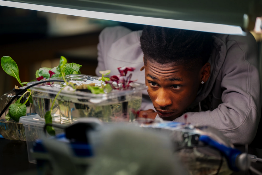 Student investigates plant in FFA program in St. Louis.