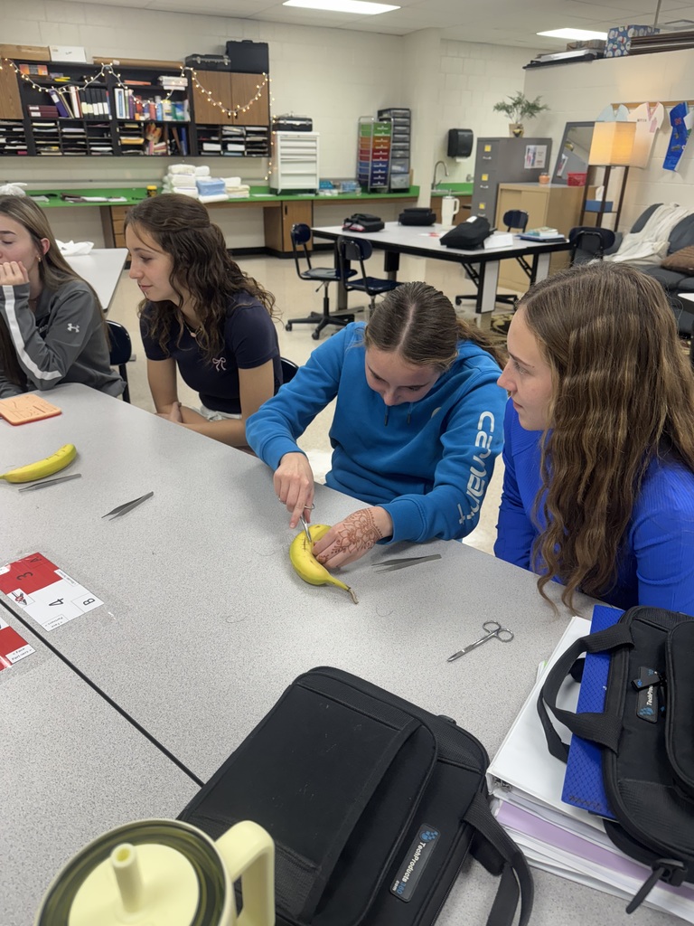 A group of students sit at a table as one student practices suturing on a banana using medical tools, while classmates watch and offer support.