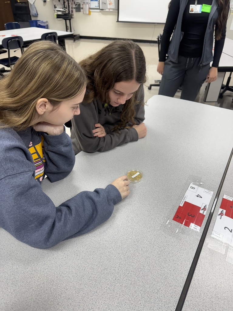 IMG_3059 - Nikki Brinker